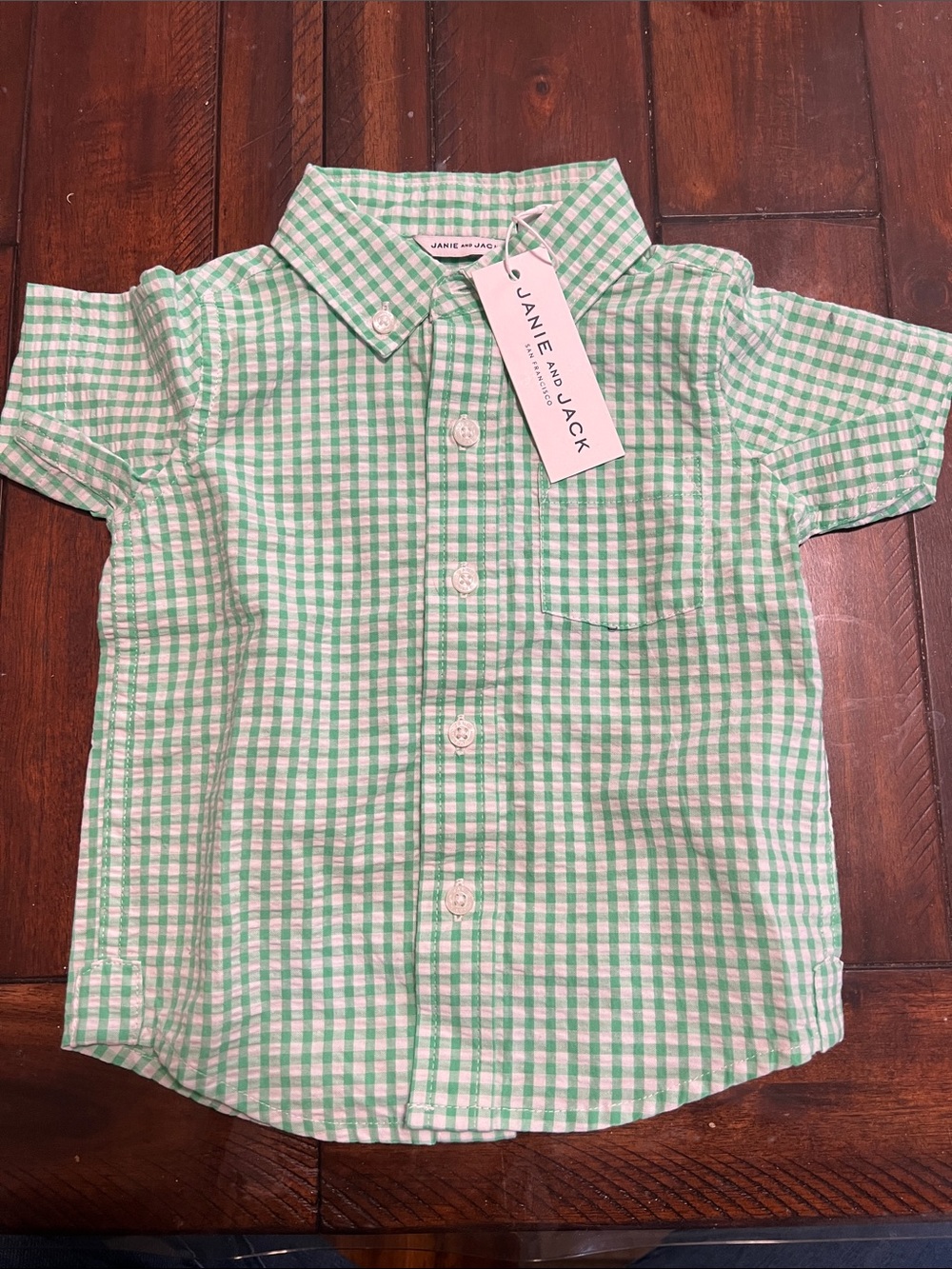 Janie and Jack Mint Green Gingham Short-Sleeve Button-Down